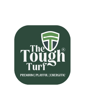 The Tough Turt